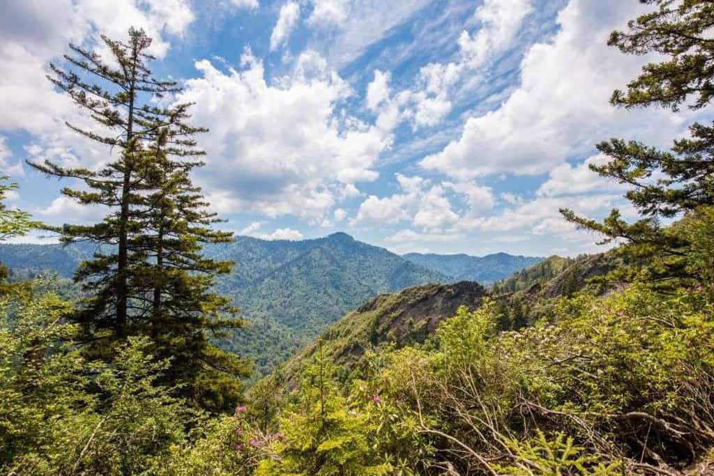 smoky-mountains