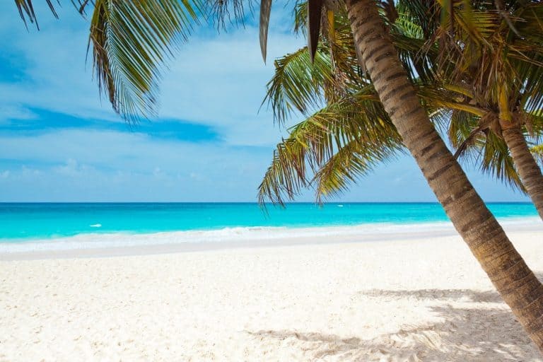 5 Best Caribbean Islands for Kids