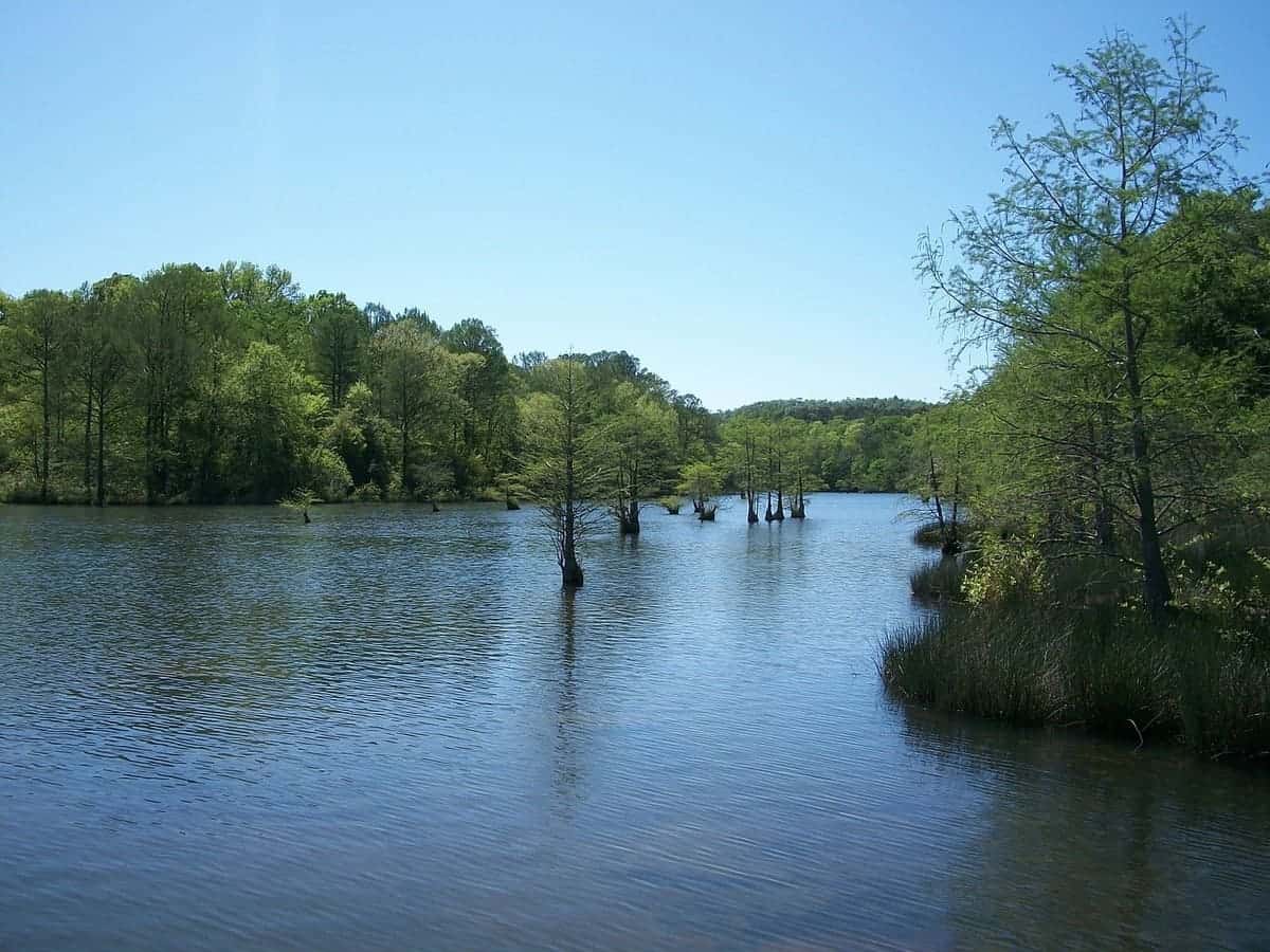 Broken Bow Lake