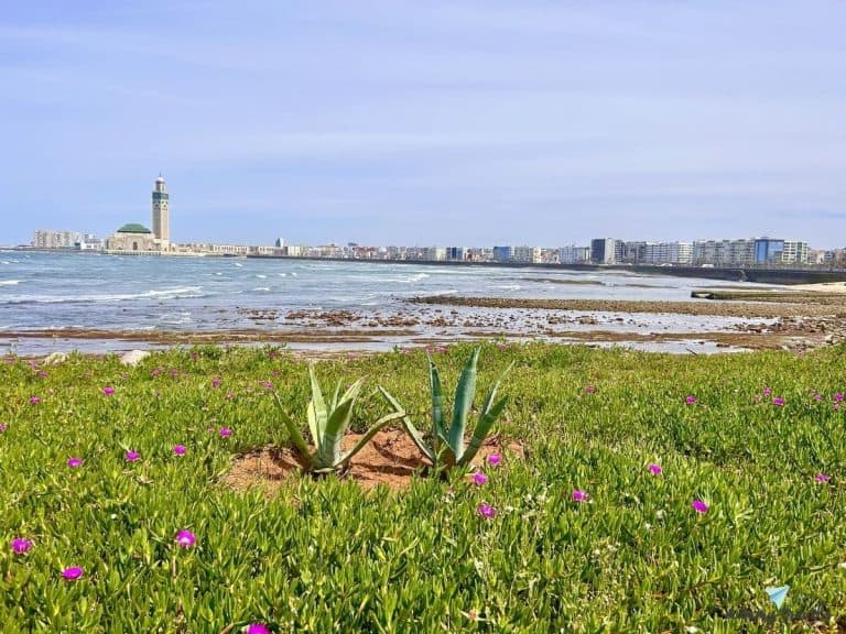 Casablanca
