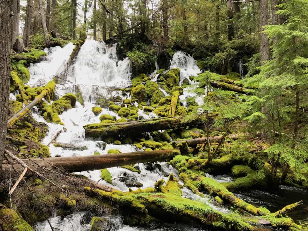 Clearwater Falls