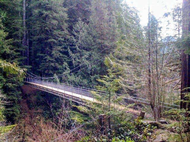 Drift Creek Falls