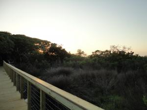 Elliot Coues Nature Trail