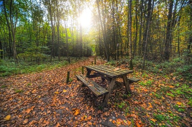 How to plan a meaningful fall picnic