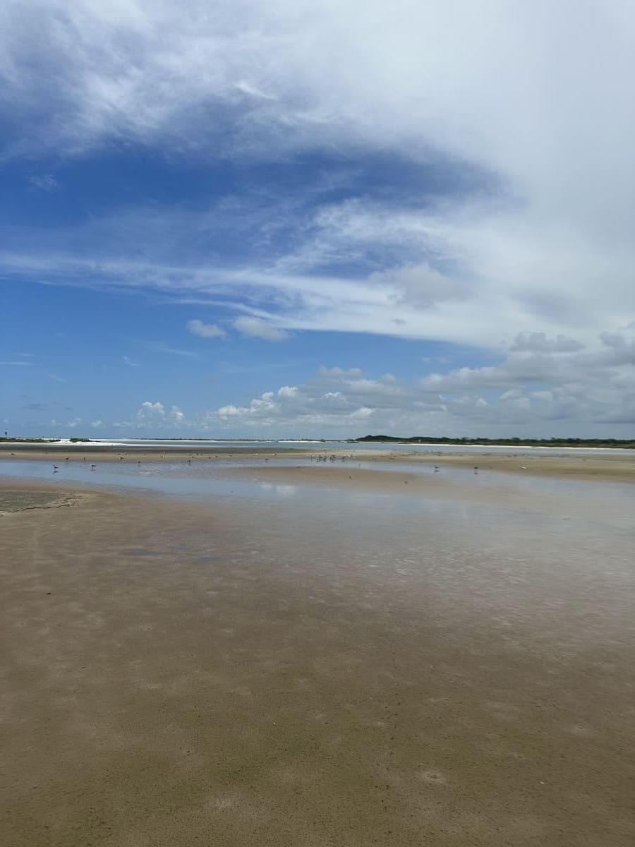 Fort De Soto