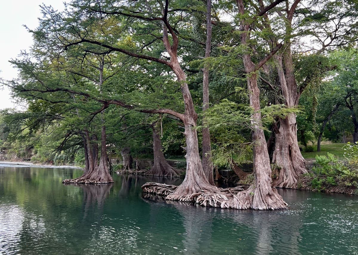 Guadalupe River View