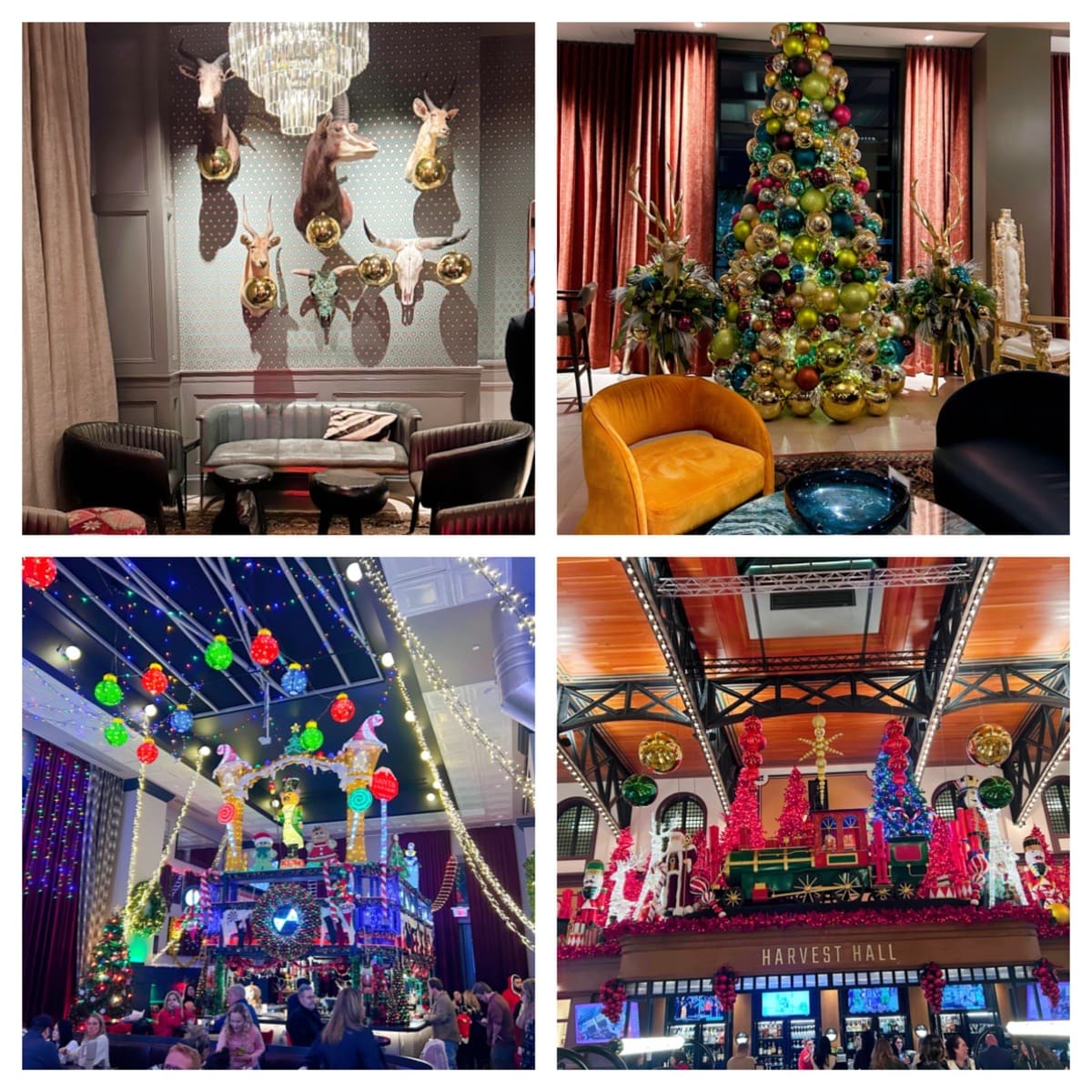 Hotel Vin