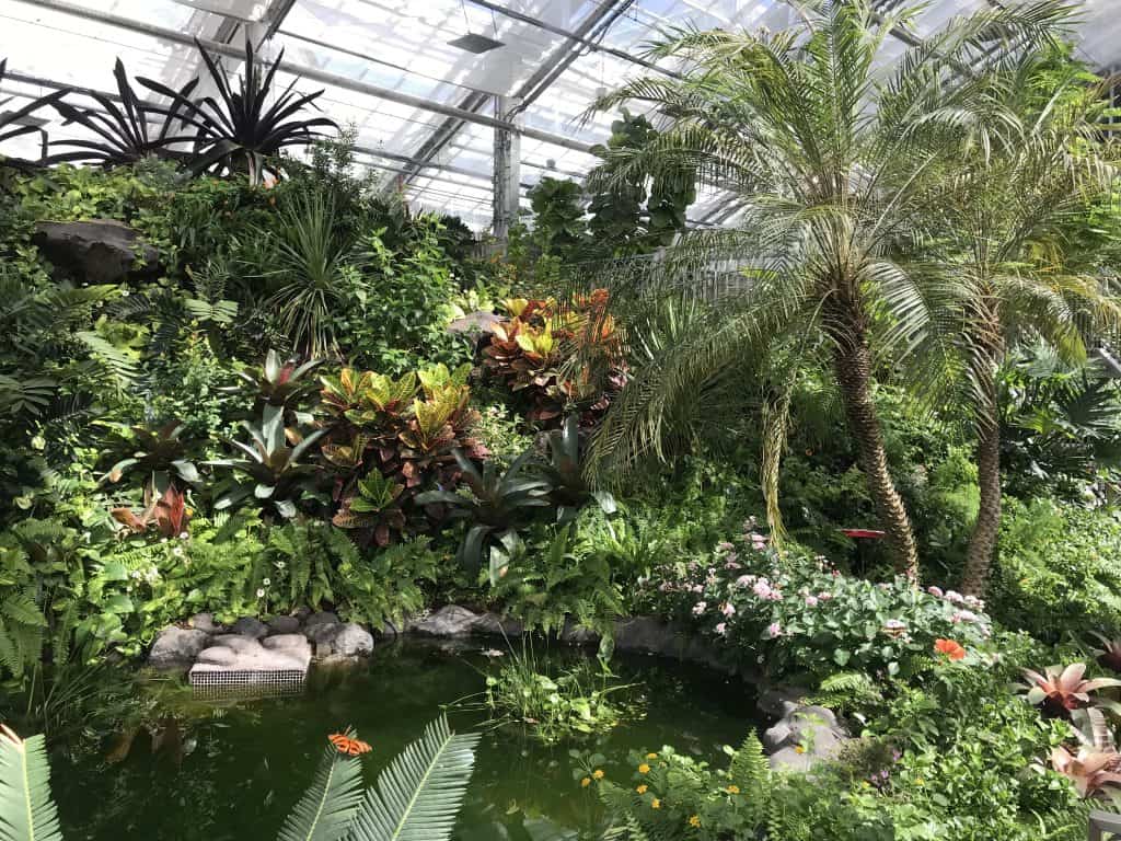Butterfly Biosphere