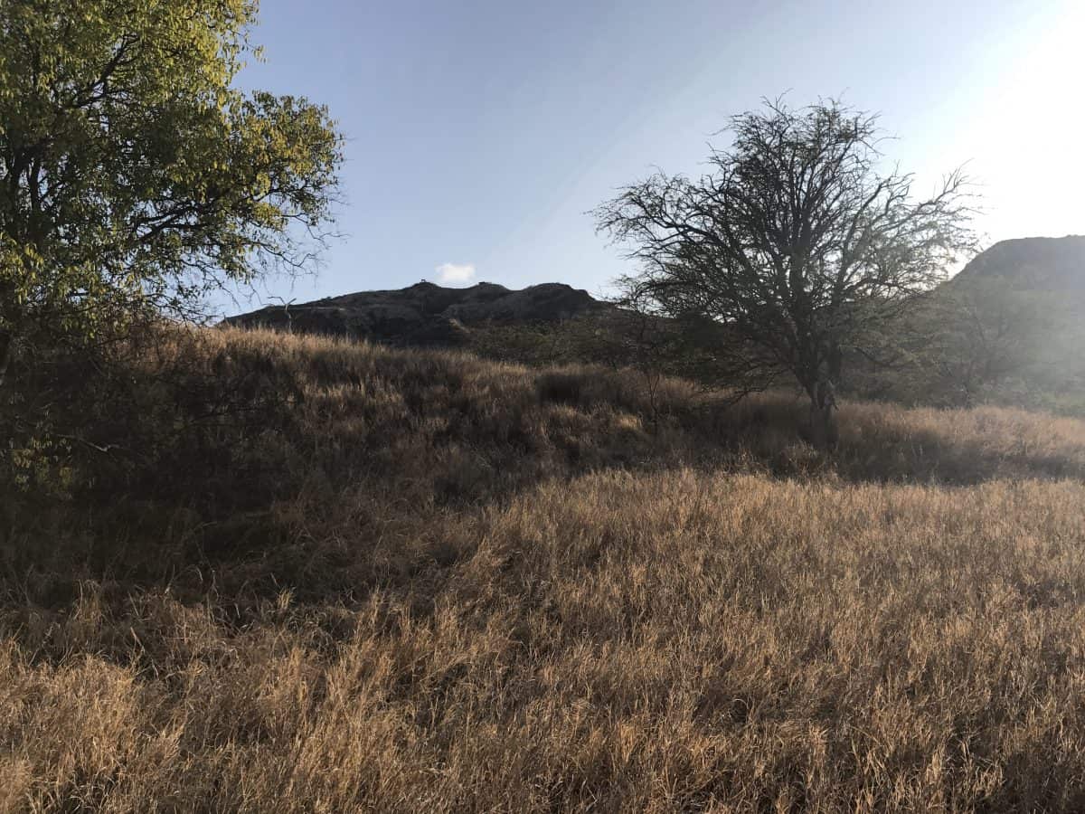 Hiking Diamond Head