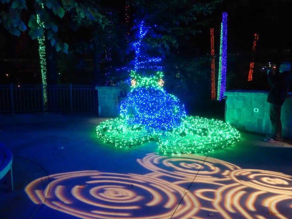 Atlanta Botanical Garden Holiday Lights