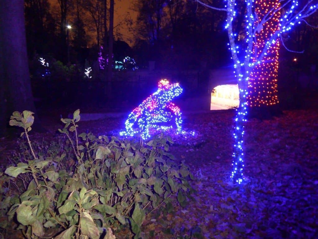 Atlanta Botanical Garden