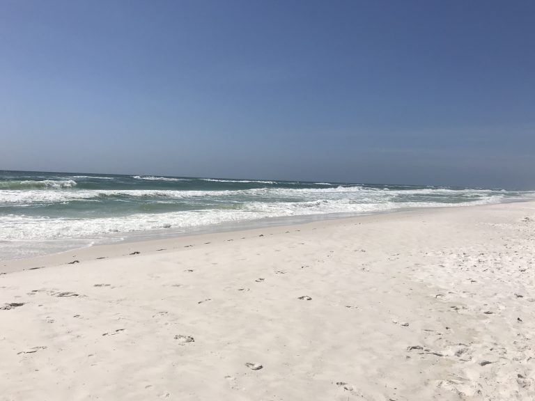 Shell Island