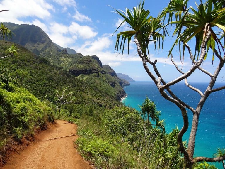 Kauai with Infants