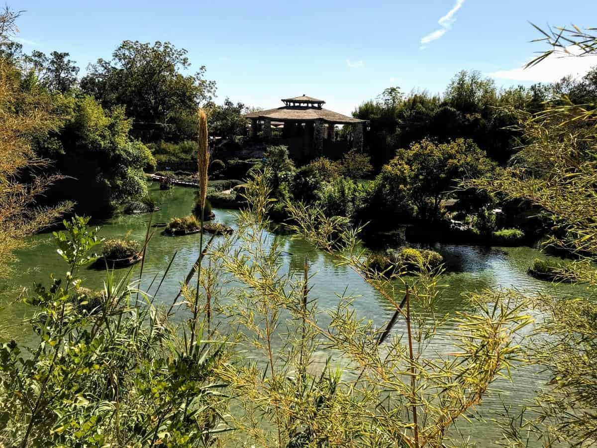 Japanese Tea Gardens San Antonio