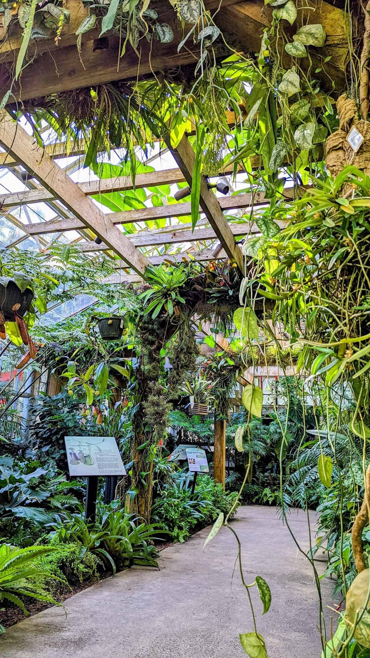 Marie Selby Botanical Gardens