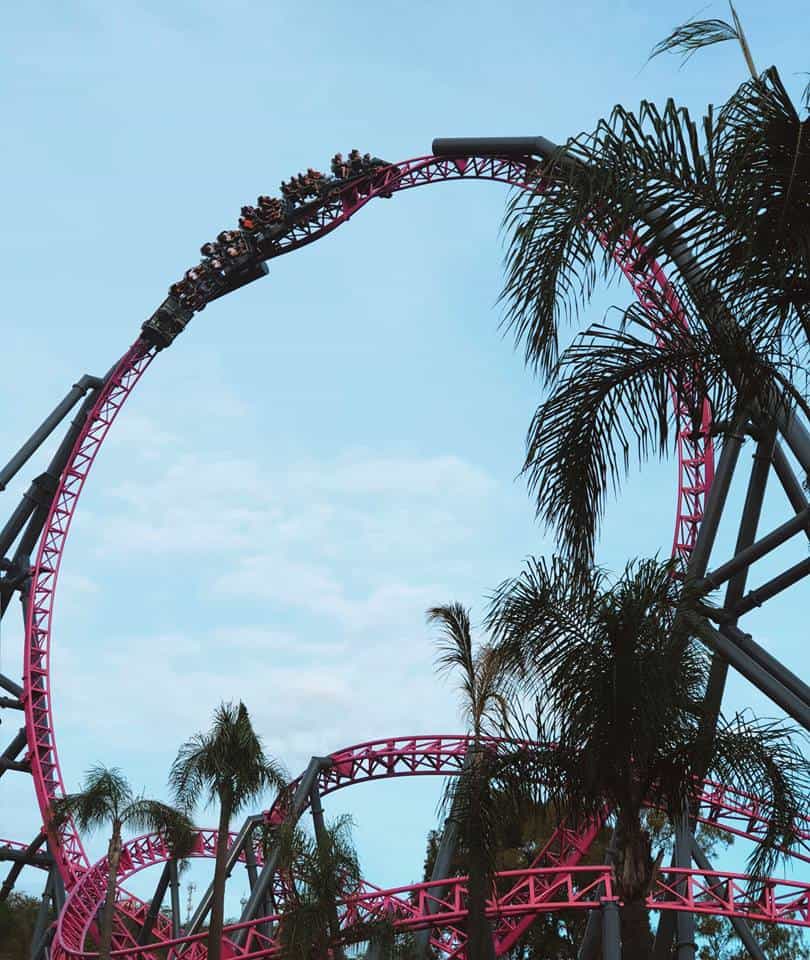 MOVIE WORLD