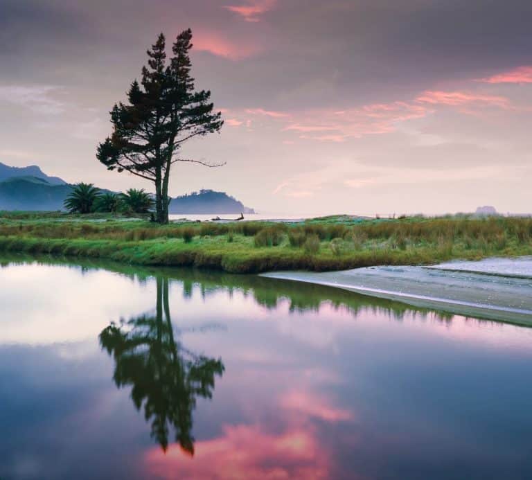Planning Your Ultimate Road Trip Adventure in New Zealand 1 Planning Your Ultimate Road Trip Adventure in New Zealand