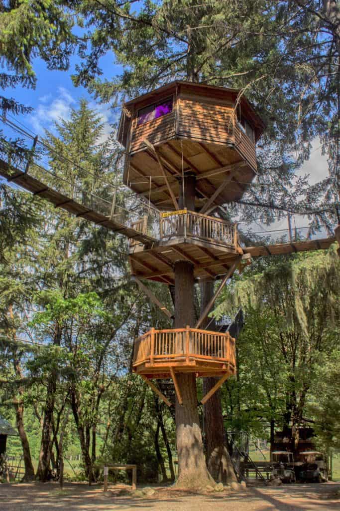 Out N About Treehouse Resort
