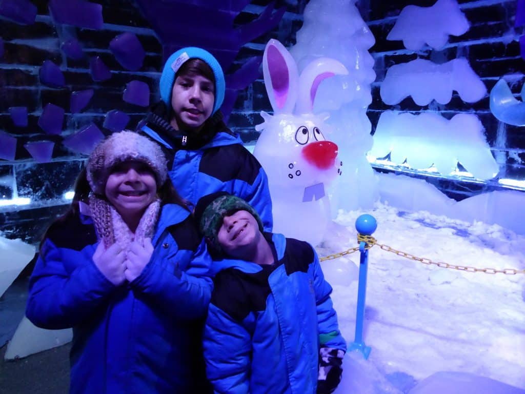 Ice at Gaylord