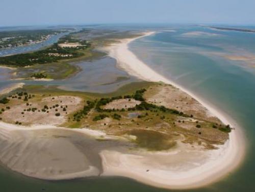 Rachel Carson Reserve