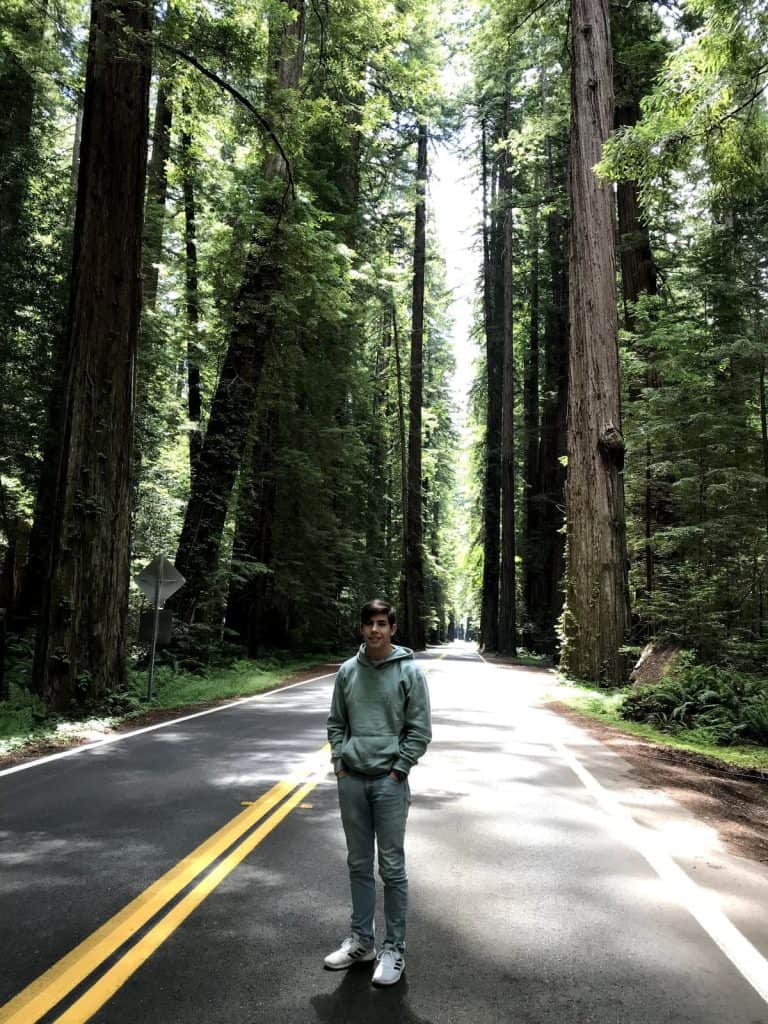 Redwoods National Park