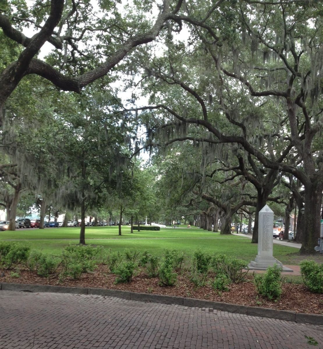Savannah