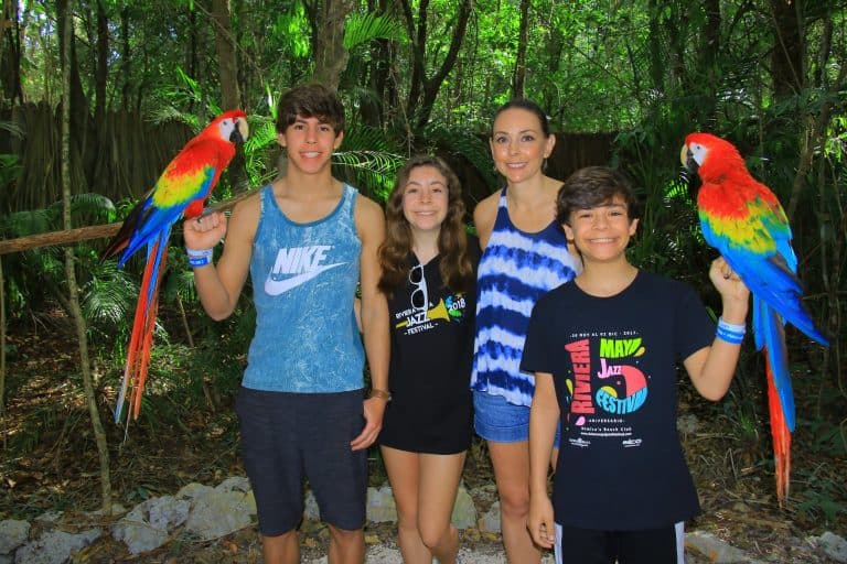 Selvatica