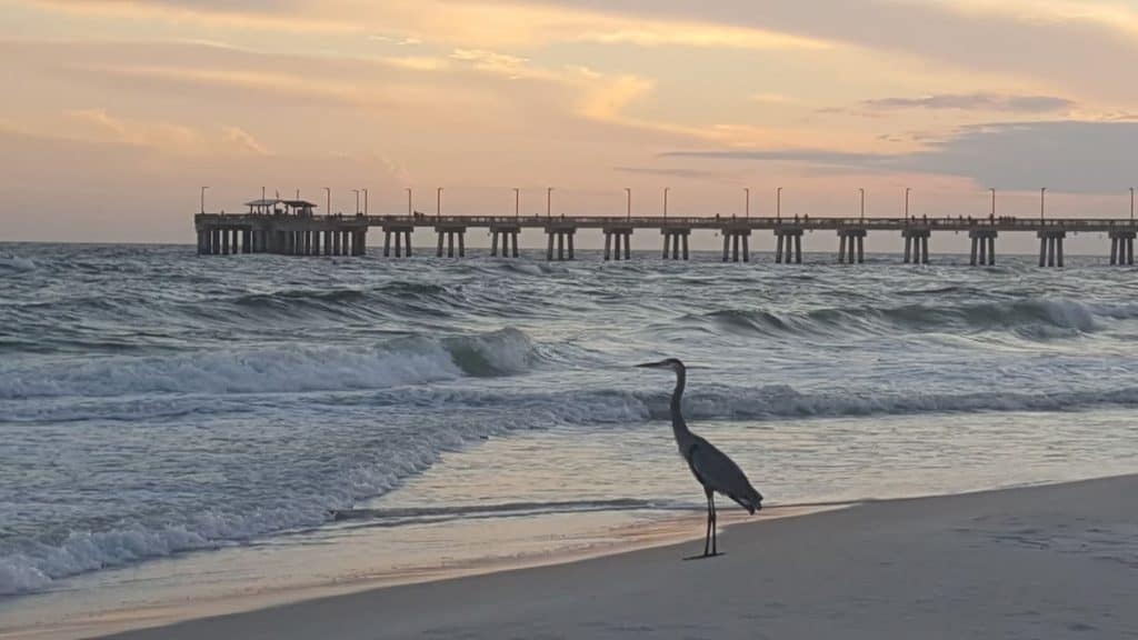 Sunset at the pier