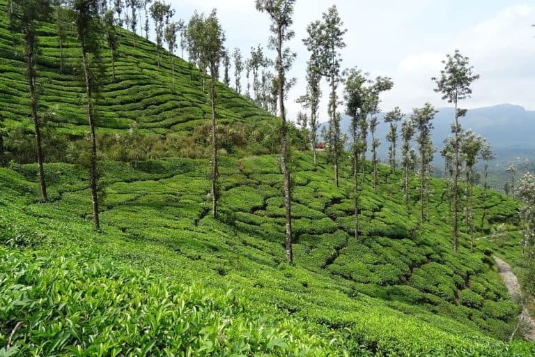 11 Best Weekend Getaways From Bangalore, India