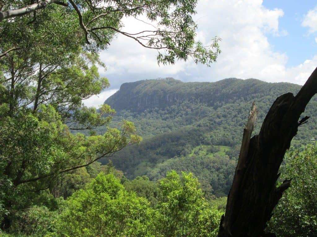THE HINTERLAND