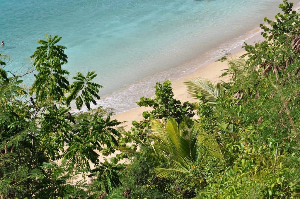 turquoise water in Puerto Rico