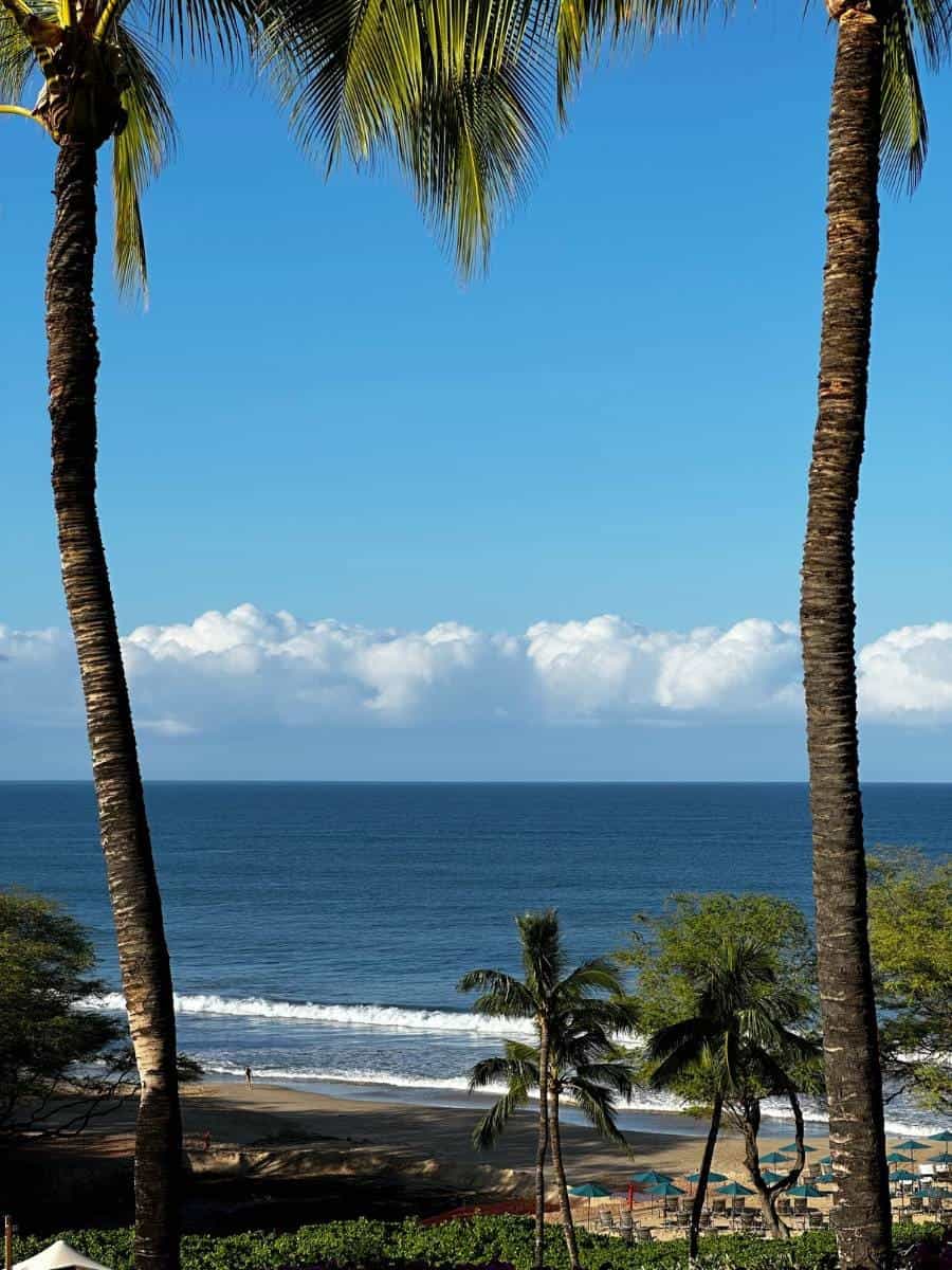 Waimea - Big Island