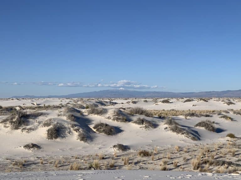 White sands
