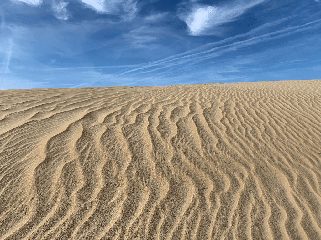 Jocky's Ridge Dunes