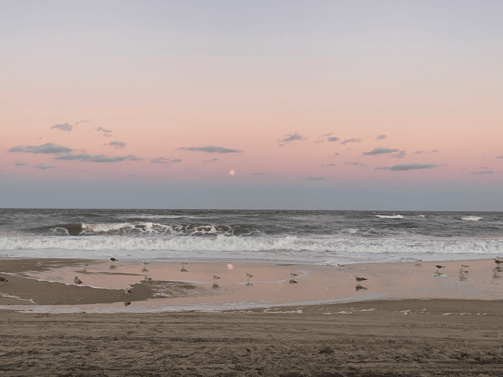 Kitty Hawk Beach