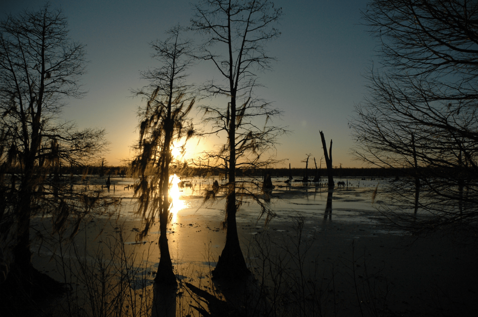 Louisiana